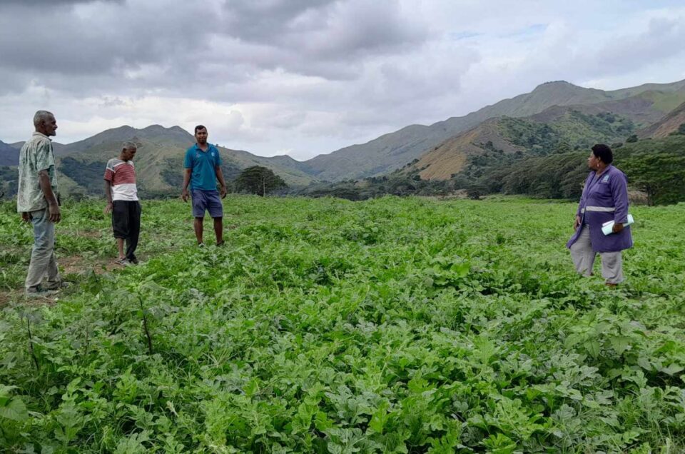 Sigatoka Research Station