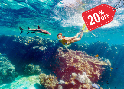 Ultimate Encounters - Snorkel with Sharks