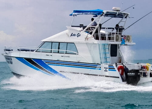 6 hours Offshore Fishing – Mamanuca Flying Fish