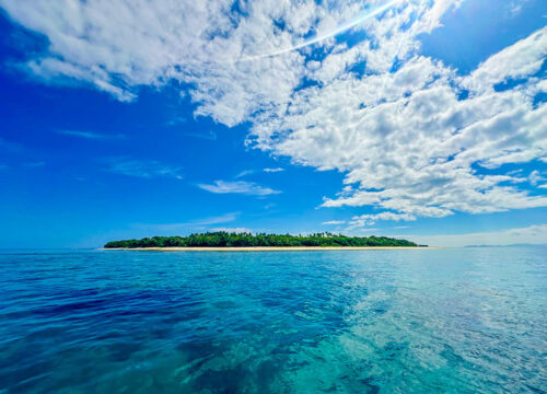 Island and Reef Day Sail